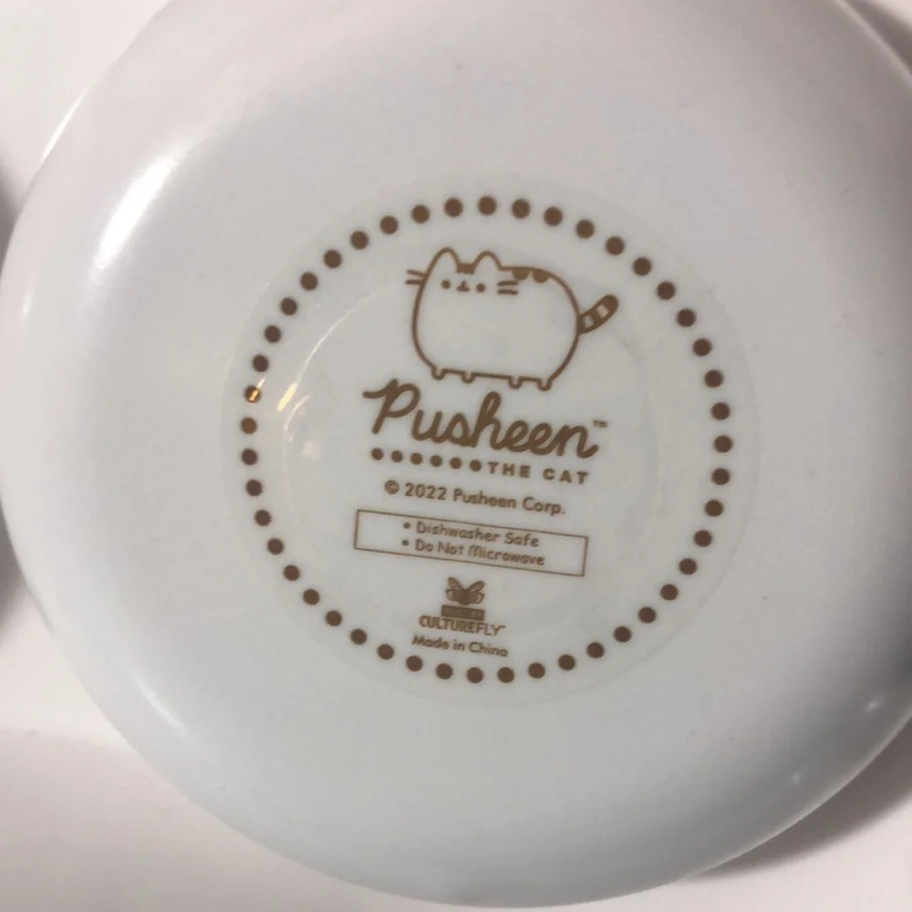Pink Pusheen pet dish - missing one of the rubber feet.
